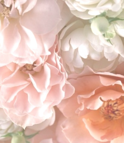 flower-background-3.png